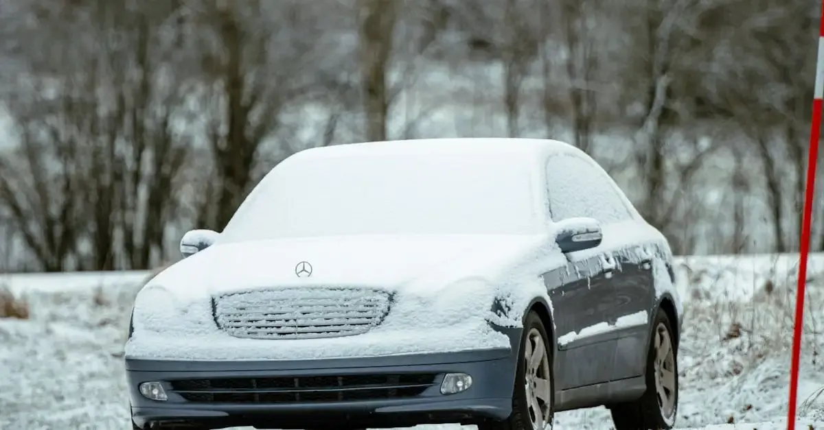 Auto leasing startup