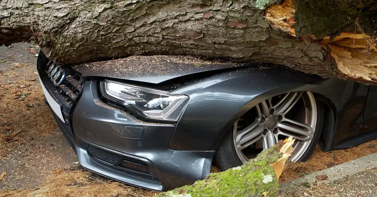 Auto ohne haftpflichtversicherung