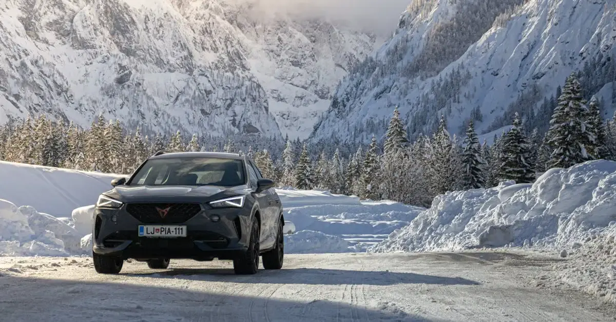 Auto suv cupra