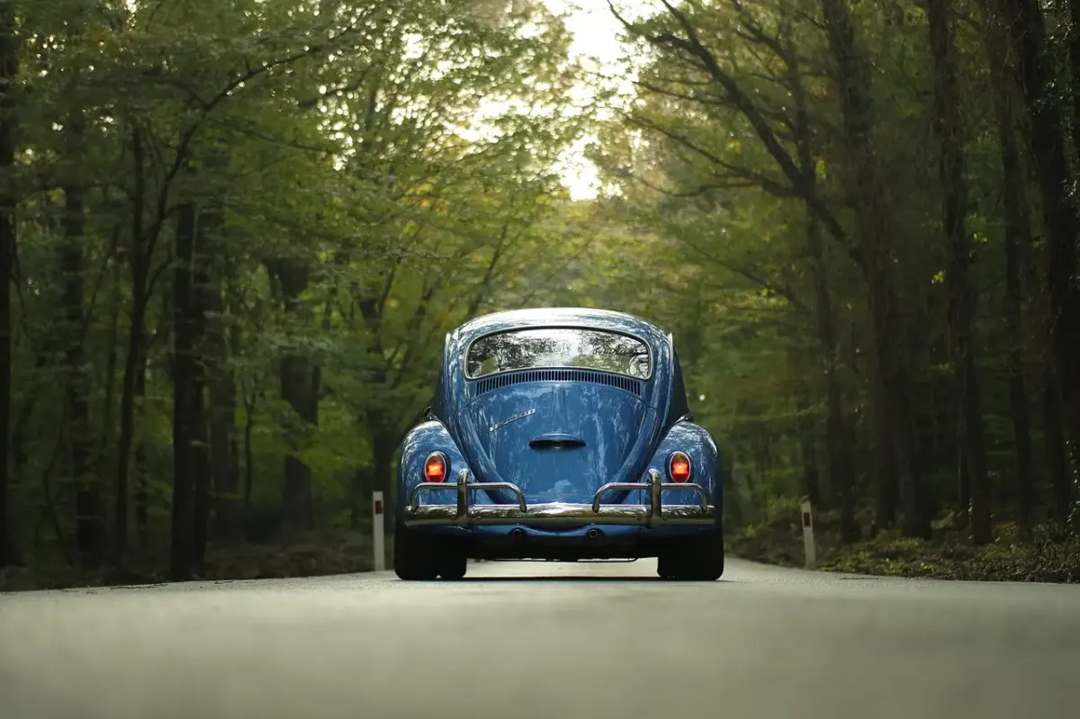 Vw diesel betroffene autos
