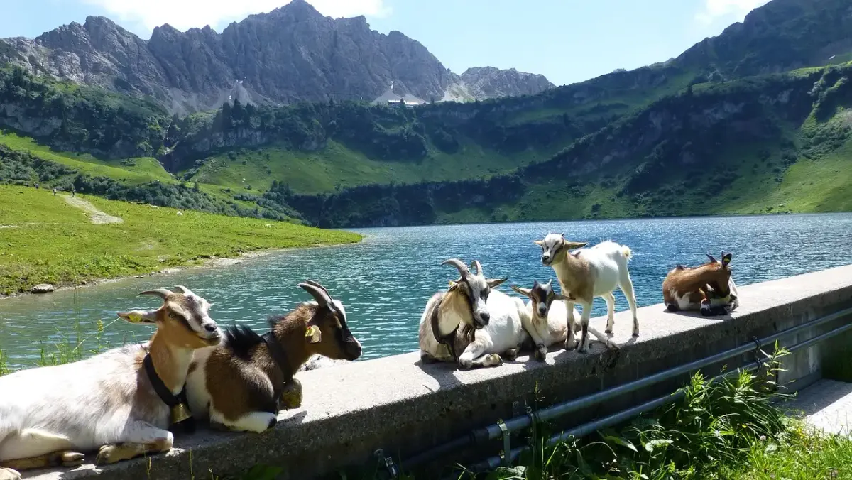 Kroatien Rundreise mit dem Auto: Die besten Tipps