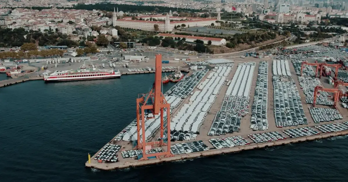 Zoll auto export